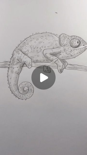 Chameleon Drawing, Drawing Lesson, Easy Drawing, Drawing Lessons, Drawing Sketches, Easy Drawings, To Draw, Drawings, On Instagram