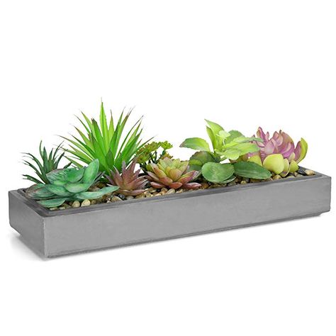 Mixed Color Artificial Succulent Plant Arrangement in Modern 16-Inch Gray Clay Planter Tray #afflink Artificial Succulent Arrangements, Tabletop Planter, Plant Arrangement, Clay Planter, Gray Planter, Rectangle Planters, Flower Pot Design, Plant Tray, Fake Succulents