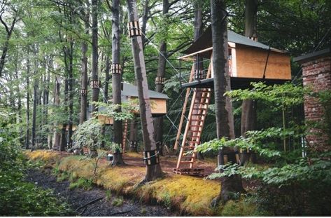 Forest Hotel, Forest Resort, Treehouse Hotel, Forest Lodge, Tree House Plans, Resort Ideas, Forest Camp, Magic Land, Small Terrace