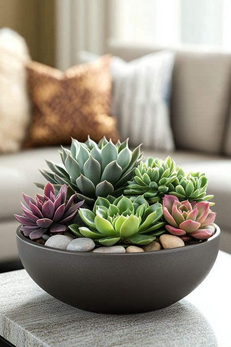 Discover how to create an indoor succulent centerpiece that brightens your space! Succulents thrive with minimal water and plenty of sunlight. #IndoorPlants #HomeDecor Succulent Bowl Indoor, Succulent Bowl, Succulent Photography, Indoor Succulents, Succulent Centerpiece, Golf Party Decorations, Succulent Bowls, Succulent Planter Diy, Planter Diy