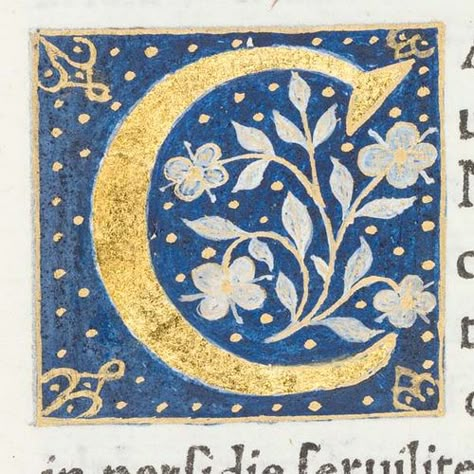 Decorated initial "C" from Scriptores historiae Augustae | Flickr - Photo Sharing! Illuminated Manuscript Letters, Medieval Initials, Illuminated Lettering, Initial C, Illustrated Manuscript, Medieval Paintings, Principles Of Art, Book Of Hours, Calligraphy Alphabet