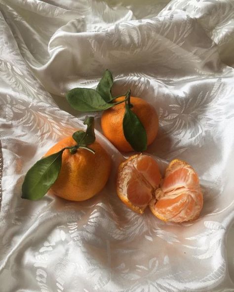 One Piece Aesthetic, Decoration Photo, Orange Aesthetic, Orange Fruit, Jolie Photo, Aesthetic Photo, Aesthetic Food, Summer Aesthetic, Instagram Feed