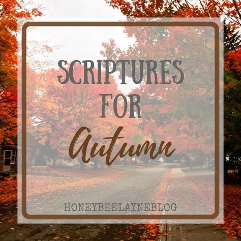 Scripture For Fall, Fall Church Sign Sayings, Fall Scripture Quotes, Fall Christian Quotes, Autumn Bible Verses, Lds Spiritual Thought, Autumn Quotes Inspirational, Kindness Scripture, Church Sign Sayings