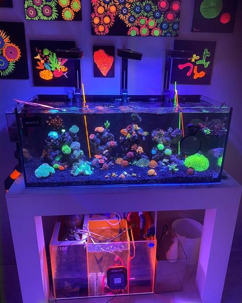 Black Light Fish Tank, Glow Fish Tank Ideas, Glofish Tank Ideas, Glofish Tank, Unique Fish Tanks, Aquarium Pets, Coral Fish Tank, Axolotl Tank, Turtle Aquarium