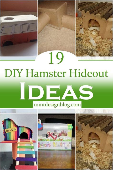 Hideout Ideas, Diy Hamster Toys, Hamster Hideout, Hamster Diy, Hamster Habitat, Diy Pineapple, Simple Holiday Cards, Hamster Care, Hamster Cages