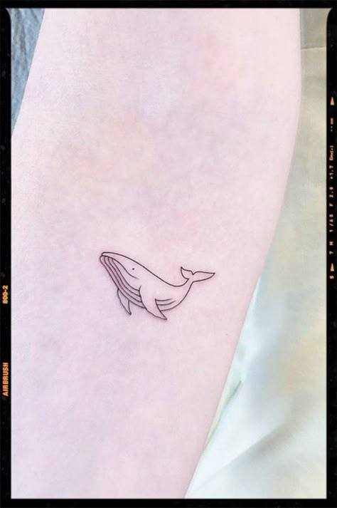 Humpback Whale Tattoo Simple, Wale Tattoos Minimalist, Cute Whale Tattoo, Bts Whale Tattoo, Tiny Whale Tattoo, Simple Whale Tattoo, Small Whale Tattoo, Whale Tale Tattoo, Blue Whale Tattoo