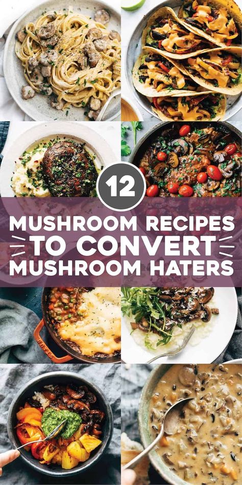 12 Mushroom Recipes to Convert Mushroom Haters. To those who say “All hail the delicious and versatile mushroom!”, we hear you! From noodles to soups, these mushroom recipes are for us. #mushrooms #recipes #portobello | pinchofyum.com Best Vegetarian Lasagna, Vegetarian Mushroom Recipes, Clinical Dietitian, Best Mushroom Recipe, Mushrooms Recipes, Easy Risotto, Portobello Mushroom Recipes, Spicy Cashews, Cheese Mashed Potatoes