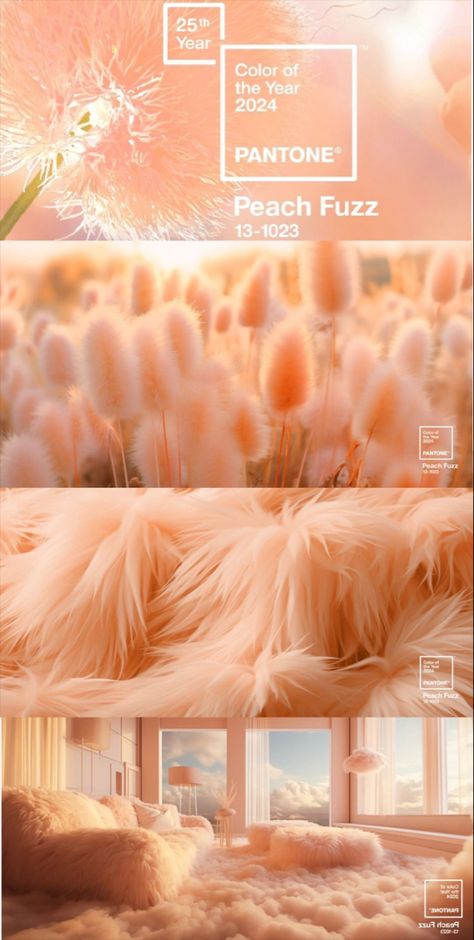 Peach Pantone 2024, Color Of 2024 Pantone, Pantone Color 2024 Peach Fuzz, Trend Color Palette 2024, 2024 Aesthetic Trends, 2024 Peach Fuzz, Peach Fuzz Pantone 2024 Wedding, Pantone Colour Of The Year 2024, 2024 Color Of The Year Pantone