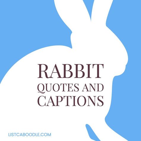 The best rabbit quotes and captions. Quotes About Rabbits, Rabbit Quotes Inspiration, Quotes About Bunnies, Rabbit Captions For Instagram, Bunny Rabbit Quotes, Rabbit Captions, Rabbit Quotes Funny, Rabbit Quotes, Bunny Quotes