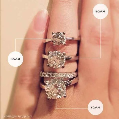 First of all, figure out what your ideal wedding ring gem size is. | These Diagrams Are Everything You Need To Plan Your Wedding Carat Comparison, Bohol, Ideal Wedding, Wedding Advice, Wedding Wishes, Put A Ring On It, Perfect Engagement Ring, Dream Ring, Plan Your Wedding