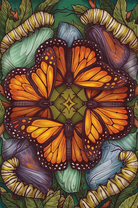 Prepare for change with a ritual and reflection inspired by the transformation of the Monarch Butterfly from Maia Toll’s THE ILLUSTRATED BESTIARY. Illustration by Kate O'Hara. #MonarchButterflies #Mindfulness #WildWisdom Monarch Butterflies Art, Metamorphosis Art, Butterfly Metamorphosis, Butterfly Puzzle, Art Papillon, Butterfly Artwork, Nature Drawing, S Art, Butterfly Watercolor