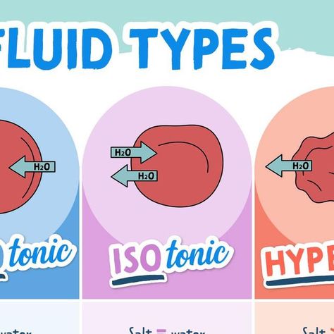 Kristine Tuttle on Instagram: "IV fluid Types

💦Hypotonic
There is more water & less salt in the solution → the cells swell

💦Isotonic
Water and salt have equal parts → the cells stay the same

💦Hypertonic
There is more salt & less water in the solution → the cells shrink

🪄A special exception is… D5W! (5% Dextrose in water) → This fluid BEGINS as an isotonic fluid, but once the dextrose has been metabolized by the body, fluid remains, expanding the cells (swelling the cells!) transforming it into a Hypotonic solution!

#IVfluids #hypotonic #isotonic #hypertonic #nursingschool #nursingnotes #nurseshelpingnurses #BSN #RN #LPN #nursingstudent #nursing #nurse #NCLEX" Iv Fluids, Body Fluid, Nursing Notes, More Water, Nclex, The Cell, Nursing Students, Nursing School, Nursing