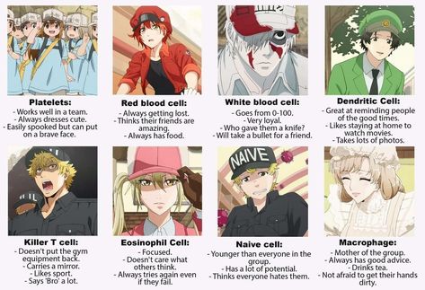 Cells At Work! Cells At Work, Medical School Inspiration, T Cell, Chibi Characters, School Inspiration, Cute Doodles, Me Me Me Anime, Ideas Style, Anime Memes