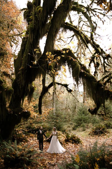 Olympic National Park Wedding, Olympic National Park Elopement, Elope Dress, Woodsy Elopement, Elopement Guide, Glacier National Park Elopement, Olympic Mountains, National Park Elopement, Woodsy Wedding