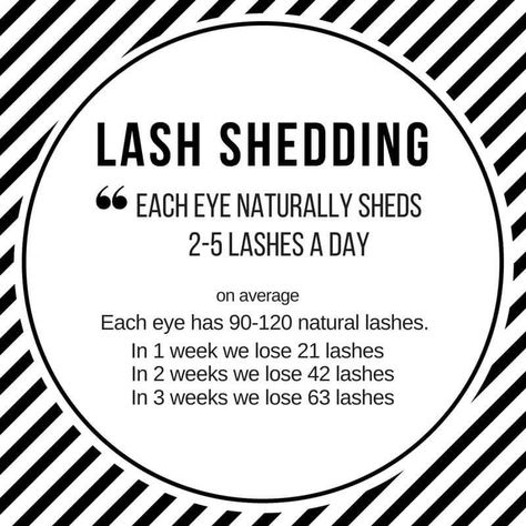 Lash Tricks, Applying False Lashes, Lash Quotes, Gene False, Eyelash Extensions Styles, Info Board, Eyelash Extentions, Salon Suites, Lash Tech