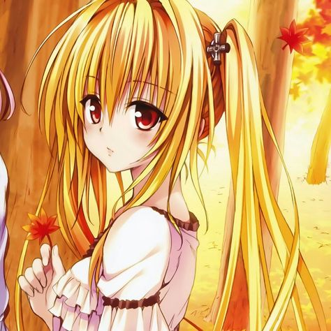 Motto To Love Ru, To Love Ru Darkness, Black Cat Anime, To Love, Art Kawaii, To Love Ru, Girls Illustration, Anime Best Friends, Cute Chibi