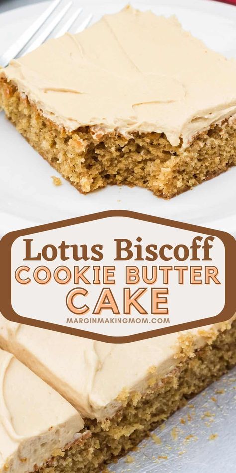 Bischoff Cake Recipe, Biscoff Cookie Cake, Biscoff Butter Cake, Easy Biscoff Dessert Recipes, Recipes With Cookie Butter, Cookie Butter Sheet Cake, Cottage Bakery Recipes, Biscoff Sheet Cake, Cookie Butter Cake Recipes