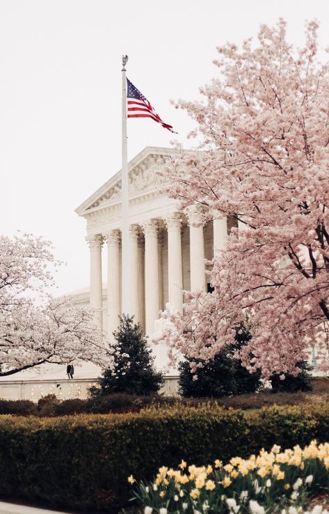 Weekend Trip, Travel In Style, Schmidt, Washington Dc, American Flag, In Style, Washington, Places To Visit, Flag