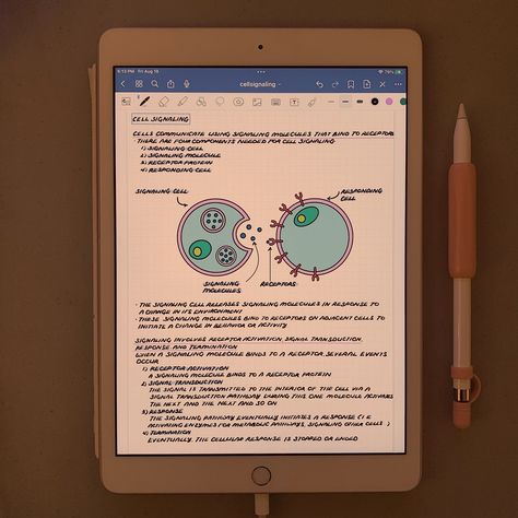 Biology: Some Notes on Cell Signaling⁠ .⁠ .⁠ .⁠ 💌 Want to support me? Keep in touch on Instagram, Medium, Pinterest, and Twitter. Link in bio.⁠ 💌 Want to work with me? Send a DM or business inquiry to 131217net@gmail.com.⁠ .⁠ .⁠ .⁠ 🏷️ #131217net #studygram #studygramnewyork #digitalnotes #studygramcommunity Cell Signaling, Twitter Link, M Learning, 10th Grade, Work With Me, Learning Science, Science Biology, Keep In Touch, Machine Learning