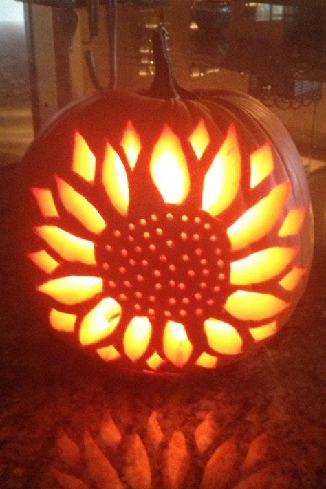 Wonderful Sunflower Pumpkin for Halloween or Thanksgiving..  There is no instructions so "Good Luck" Pumpkin Carving Sunflower, Pumpkin Carving Flower, Sunflower Pumpkin Carving, Thanksgiving Pumpkin Carving, Halloween Apps, Pumpkin Carve, Pumpkin Cravings, Cute Pumpkin Carving, Pumkin Carving