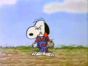 Woodstock Snoopy, Snoopy Comics, Snoopy Funny, Snoopy Images, Snoopy Wallpaper, Snoopy Pictures, Snoop Dog, Snoopy Love, Charlie Brown Peanuts