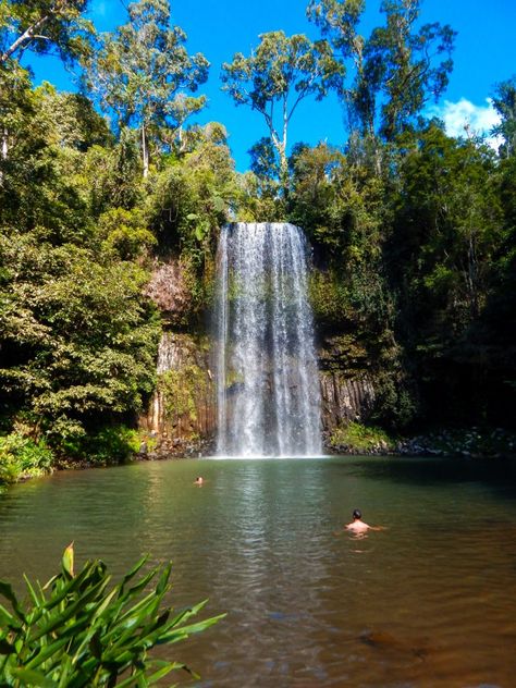 Scuba Diving Australia, Australia Landscape, Cairns Queensland, Australia Itinerary, Cairns Australia, Australia Backpacking, Australia Vacation, Airlie Beach, Travel Photography Tips