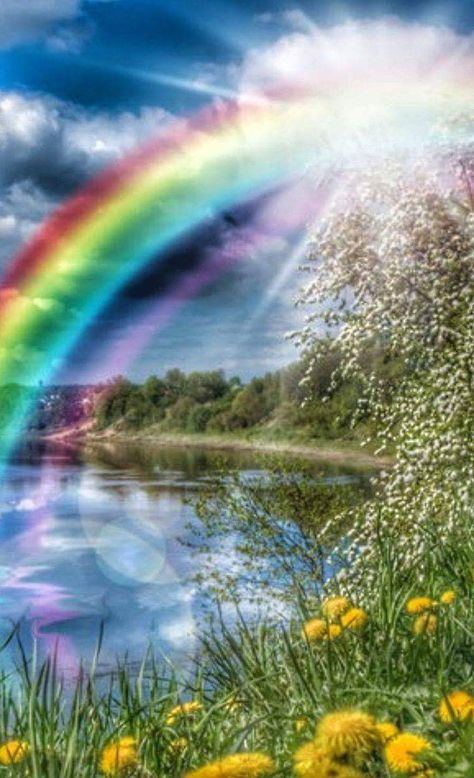 Rainbow Promise, Rainbow Pictures, Rainbow Photography, Rainbow Magic, Rainbow Sky, Rainbow Aesthetic, Rainbow Wallpaper, Rainbow Art, Beautiful Rainbow