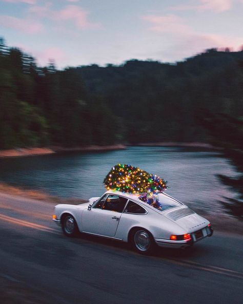 @voguegram on Instagram: “Porsche Christmas tree delivery” Cavo Tagoo Mykonos, Driving Home For Christmas, Porsche 912, Porsche Classic, Porsche Macan, Vintage Porsche, Christmas Car, Automotive Photography, Classic Porsche