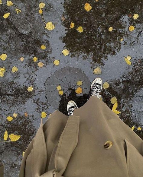 Crunchy Leaves, Autumn Instagram, Rainy Day Aesthetic, Cloudy Weather, Crisp Air, Winter Photo, Cozy Aesthetic, Instagram Ideas Photography, Pumpkin Season