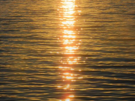 Glitter in the water. Goldenhour Aesthetic, Golden Lake, Water Sunset, Fields Of Gold, Fotos Aesthetic, Dream Aesthetic, Lake Water, Nature Aesthetic, My Vibe