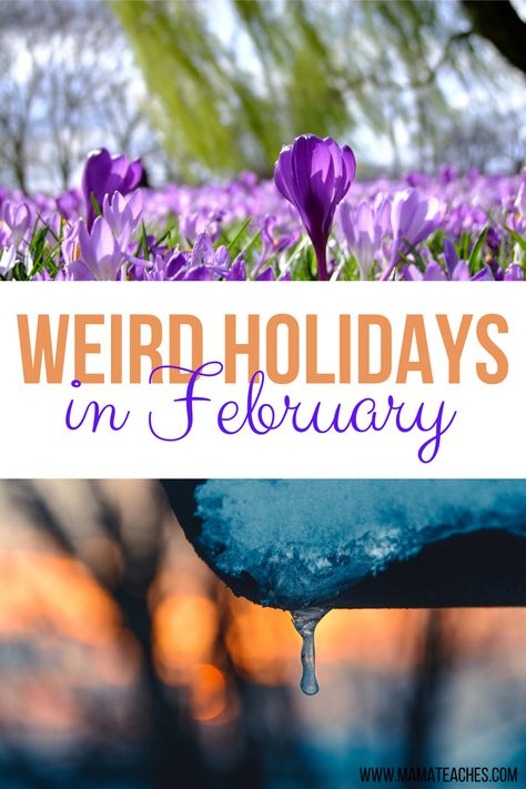 Unusual and Weird Holidays in February - Mama Teaches Holidays In February, Homeschool Holidays, February Holidays, Calendar Activities, Social Studies Unit, Holiday Activities For Kids, World Thinking Day, Calendar Time, Culture Day