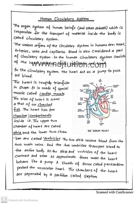 Life Processes Handwritten Notes for Class 10th Studies Tips, Notes Science, Anatomy Notes, Neet Notes, Learn Biology, Notes Life, Handwriting Examples, Study Biology, Physics Notes