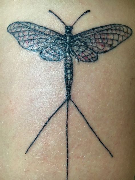 Mayfly tattoo Mayfly Tattoo, Insect Tattoos, Insect Tattoo, Mayfly, Tattoo Cover-up, Beautiful Body, Deathly Hallows Tattoo, Triangle Tattoo, Art Inspo