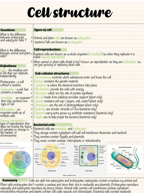 Cell Notes Anatomy, Anatomy Cells Notes, Biology College Notes, Anatomy And Physiology Cells Notes, Cell Study Notes, Cell Biology Notes Gcse, Cell Physiology Notes, Cell Anatomy Notes, Cell Chapter Notes