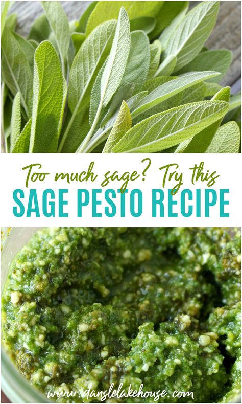 Sage Vegan Recipes, Sage Preserving, Fresh Marjoram Recipes, Sage Pesto Recipes, Herb Pesto Recipes, What To Do With Sage Leaves, What To Do With Sage From Garden, How To Preserve Sage, Sage Herb Recipes