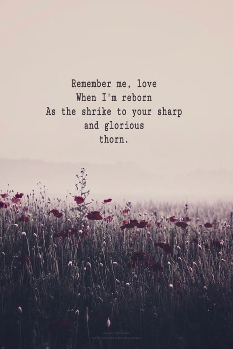 Shrike- Hozier Shrike Hozier Lyrics, Hoizer Wallpaper, Hozier Quotes Lyrics, Shrike Hozier, Hozier Lyrics Wallpaper, Hozier Wallpaper Lyrics, Hozier Lyrics Aesthetic, Hozier Art, Hozier Quotes