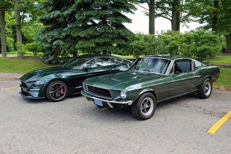 1968 Mustang Gt, Bullitt Mustang, Black Dodge Charger, Ford Mustang Bullitt, Ford Motorsport, Respect Your Elders, Mustang Bullitt, 1968 Mustang, Shelby Gt