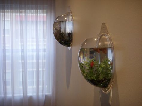 on the wall fish tanks Fish Tank In Wall, Small Fish Tank Ideas, Aqua Furniture, Finding Nemo Bathroom, Little Mermaid Bathroom, Fish Tank Ideas, Vertical Garden Plants, Cool Fish Tanks, Fish Bowls