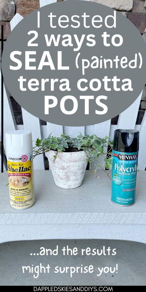 Vinyl On Terra Cotta Pots, How To Paint Terra Cotta Pots Outdoor, How To Paint Terracotta Pots, How To Paint Terracotta Pots Diy, How To Paint Terra Cotta Pots, Painting Clay Pots Terra Cotta, How To Paint Clay Pots For Outside, How To Seal Terra Cotta Pots, Paint Terracotta Pots Diy