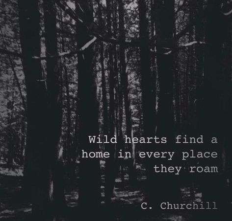 Citation Nature, Wanderlust Quotes, Best Travel Quotes, Travel Quotes Wanderlust, Journey Quotes, Hiking Quotes, World Quotes, Adventure Quotes, Nature Quotes