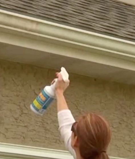 How to Clean Vinyl Siding and Gutters Clean Vinyl Siding, White Vinyl Siding, Vinyl Soffit, Cleaning Vinyl Siding, Miracle Cleaner, White Siding, Cleaning Gutters, Vinyl Siding, Pressure Washer