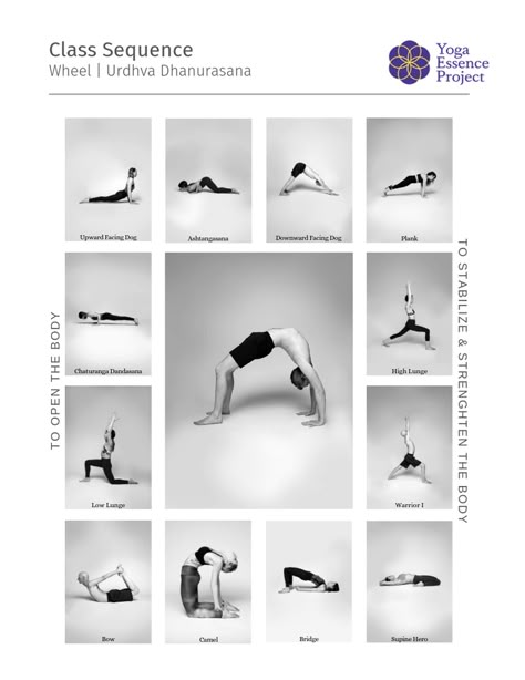 How To Wheel Pose, Wheel Pose Yoga Sequence, Yoga Peak Poses For Beginners, Yoga Peak Pose Ideas, Yoga Peak Poses, Backbend Poses, Yoga Sequencing, Urdhva Dhanurasana, Wheel Pose Yoga