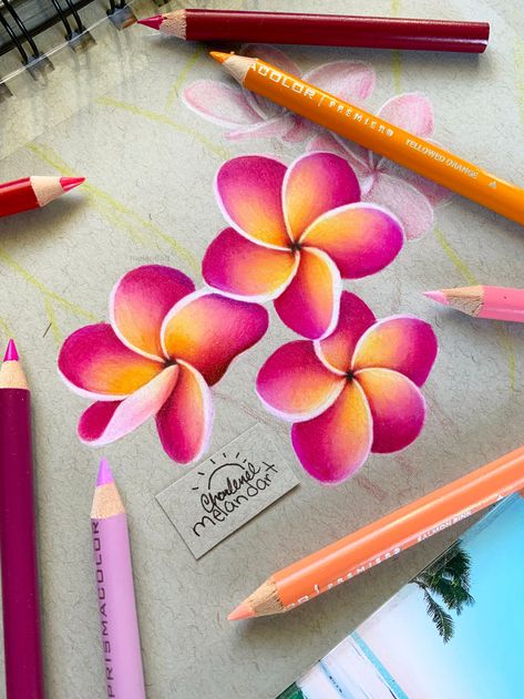 Realistic Flower Color Pencil Drawings, Creative Animal Drawings, Realistic Flower Drawing Color, Drawings Colored Pencils Ideas, Color Pencil Flowers, Coloring Pencil Art, Realistic Colour Pencil Drawings, Colorful Flower Drawing, Colour Pencil Art Sketches