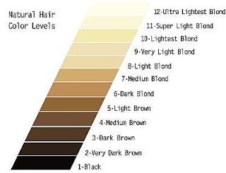 The levels of color you need to know for coloring your hair "unnatural" colors (the link leads you to a blog that explains color theory in layman's terms). Finally!! <3 LA Hair Color Scale, Levels Of Hair Color, Wella Color Charm Toner, Honey Brown Hair Color, Brown Hair Color Chart, Wella Toner, Hair Levels, Birth Colors, Wella Color Charm