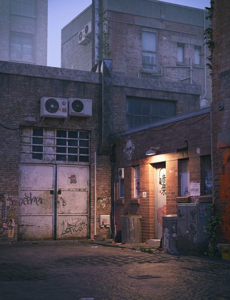 Environment Photography, Back Alley, Background References, The Heist, Rpg Map, Cyberpunk City, Daz Studio, Urban City, City Landscape