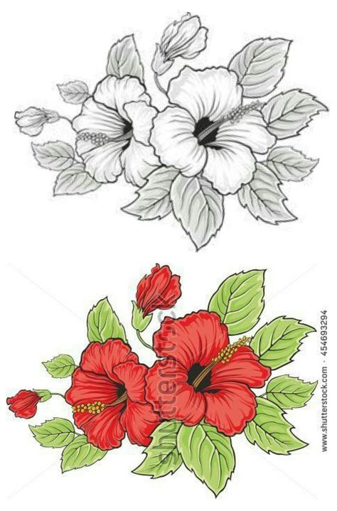 Hibiscus Drawing, Cute Simple Tattoos, The World Is Your Oyster, World Is Your Oyster, Flower Line Drawings, Flower Drawing Design, Acrylic Painting Flowers, Flower Art Drawing, Beautiful Art Paintings