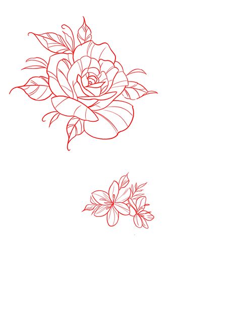 Rose Tattoo Stencil Outline, Red Rose Tattoo Design, Floral Outlines, Red Flower Tattoos, Red Rose Tattoo, Outline Designs, Rose Tattoo Design, Flower Stencil, Tattoo Outline