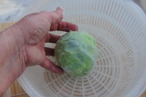 Salad Spinner - a great felting tool Felt Salad, Wet Felting Tutorial, Felt Pictures, Salad Spinner, Creative Textiles, Wet Felt, Felt Jewelry, Felting Tutorials, Felt Ball