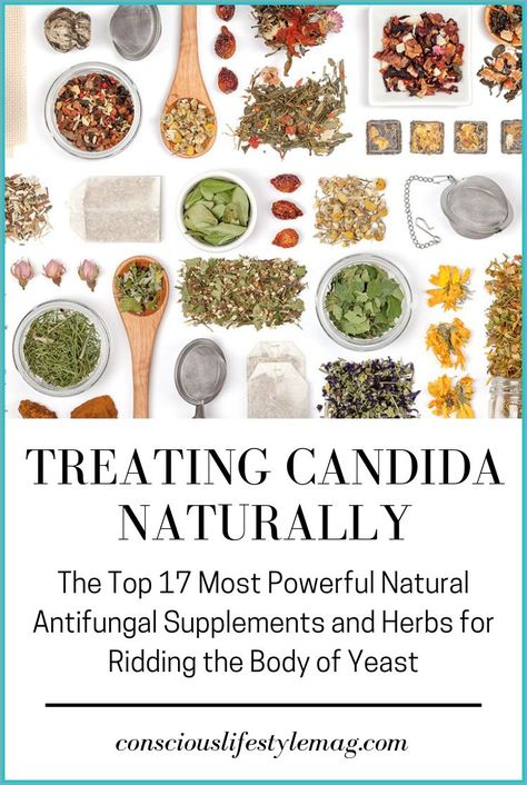 If You Need Help Letting Go* You Can Ask Archangel Azrael for Assistance. Herbs For Candida Overgrowth, Anti Fungal Foods, Natural Antifungal Remedies, Anti Fungal Herbs, Herbs For Candida, Yeast Overgrowth Diet, Candida Overgrowth Remedies, Antifungal Herbs, Antifungal Diet