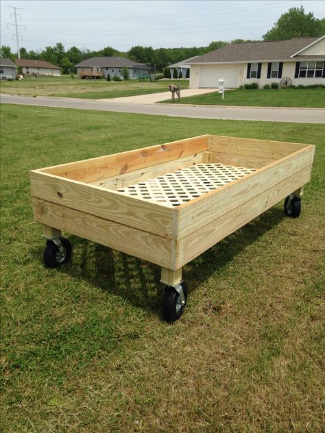 Raised Garden Bed on Wheels Portable Raised Garden Beds, Bed On Wheels, Portable Garden, Vegetable Garden Raised Beds, Vertical Vegetable Garden, Building A Raised Garden, Diy Raised Garden, Raised Garden Beds Diy, Yard Care